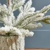 18" Potted Noble Fir Tree with Snow