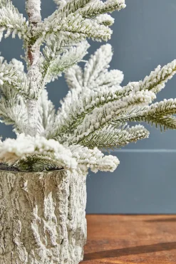 18" Potted Noble Fir Tree with Snow