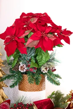 24" Potted Poinsettia