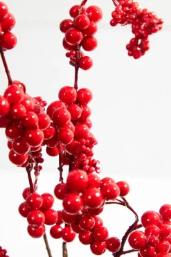 18” Red Dew Berry Spray