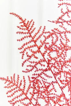 35" Red Glitter Fern Spray