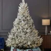 7.5' Royal Oaks Flocked Tree with 690 Warm White LED Lights
