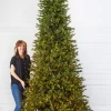10' Slim Southern Fir with 2000 3mm Lights