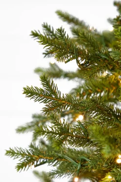 10' Slim Southern Fir with 2000 3mm Lights