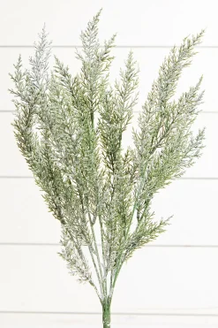 18" Snow Cedar Pine Bush