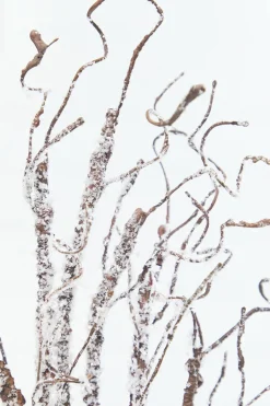 36" Snow Twig Branch