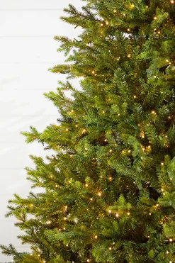 7.5' Southern Fir with 1400 3mm Lights
