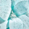 22" Teal with Sparkles Frosted Poinsettia Stem