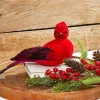 13" Velvet & Feather Cardinal Clip Ornament