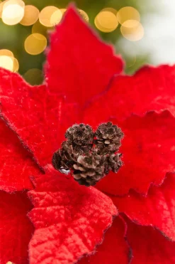 22” Velvet Felt Poinsettia Stem