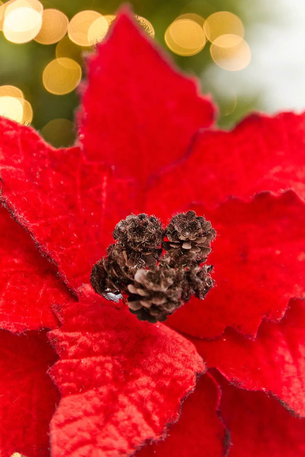 22” Velvet Felt Poinsettia Stem