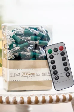 16' Warm White Mini LED Lights with Remote