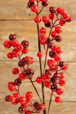 27" WP Berry Spray X 5