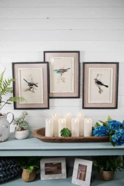 15" x 20" Framed Bird Print with Glass