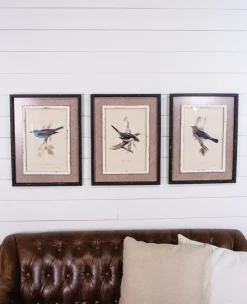 15" x 20" Framed Bird Print with Glass