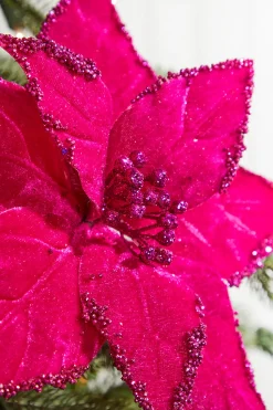 19" x 12" Fuchsia Poinsettia Stem