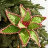24” x 12" Green Peppermint Edge Poinsettia Stem