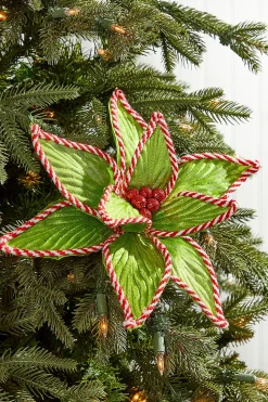 24” x 12" Green Peppermint Edge Poinsettia Stem