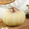 9" x 5" Lite Green Latex Harvest Pumpkin Vine