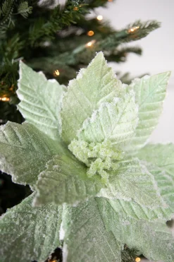 20” x 14" Mint Sugared Poinsettia Stem