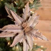 22” x 15" Natural Brown Striped Poinsettia Stem