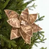 19" x 10" Natural Poinsettia Stem