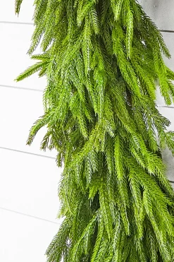 60" x 16" Real Touch Deluxe Norfolk Pine Garland