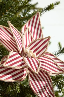 20" x 12" Striped Poinsettia Stem
